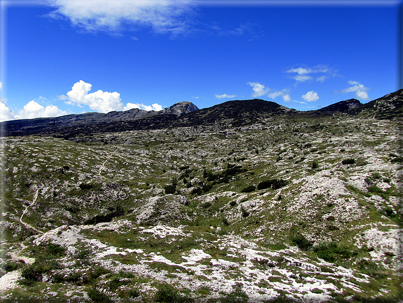 foto Percorso ad anello Caldiera,Ortigara,Lozze